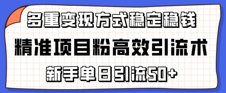 精准项目粉高效引流术，新手单日引流50+，多重变现方式稳定赚钱-热爱者网创