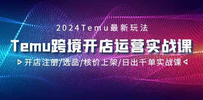 2024Temu跨境开店运营实战课，开店注册/选品/核价上架/日出千单实战课-热爱者网创