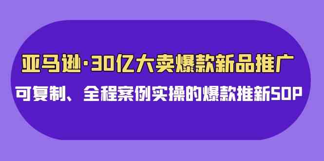 （9944期）亚马逊30亿·大卖爆款新品推广，可复制、全程案例实操的爆款推新SOP-热爱者网创