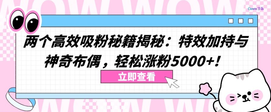 两个高效吸粉秘籍揭秘：特效加持与神奇布偶，轻松涨粉5000+-热爱者网创