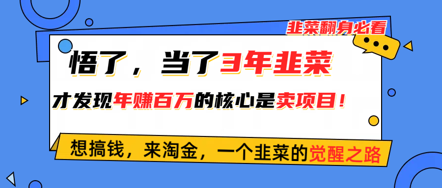 （10759期）悟了，当了3年韭菜，才发现网赚圈年赚100万的核心是卖项目，含泪分享！-热爱者网创