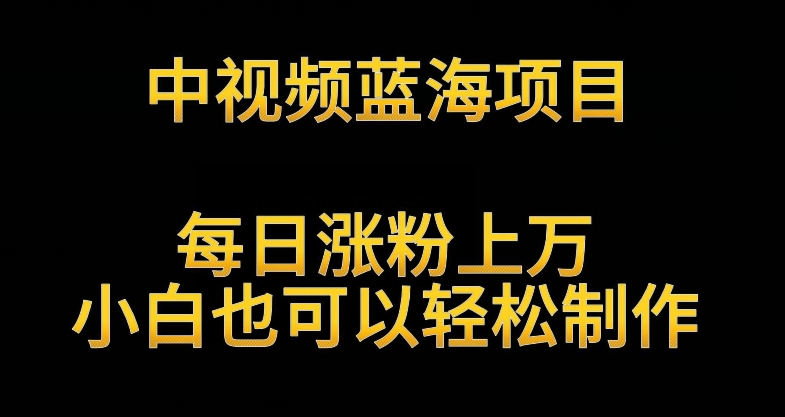 中视频蓝海项目，解读英雄人物生平，每日涨粉上万，小白也可以轻松制作，月入过万不是梦-热爱者网创