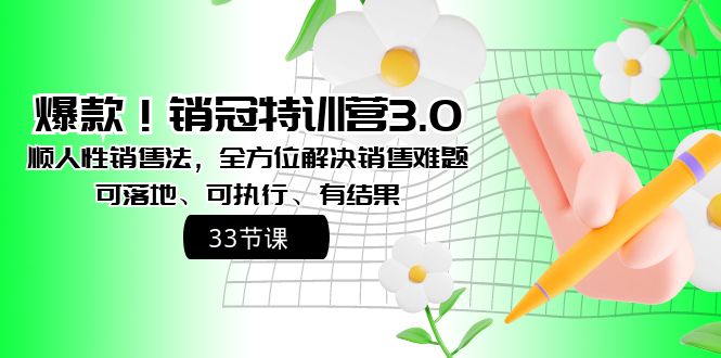 爆款！销冠特训营3.0之顺人性销售法，全方位解决销售难题、可落地-热爱者网创