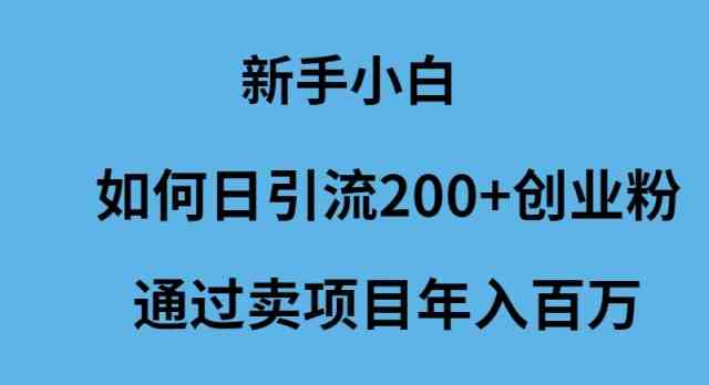 （9668期）新手小白如何日引流200+创业粉通过卖项目年入百万-热爱者网创