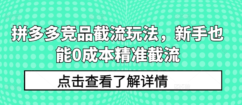 拼多多竞品截流玩法，新手也能0成本精准截流-热爱者网创