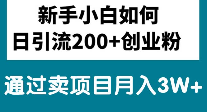 （10843期）新手小白日引流200+创业粉,通过卖项目月入3W+-热爱者网创