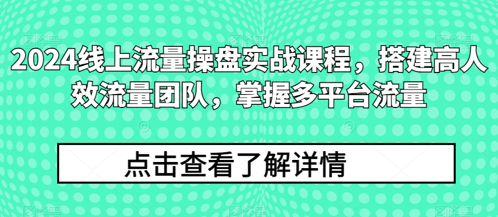 2024线上流量操盘实战课程，搭建高人效流量团队，掌握多平台流量-热爱者网创