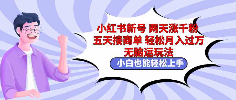 （9239期）小红书新号两天涨千粉五天接商单轻松月入过万 无脑搬运玩法 小白也能轻…-热爱者网创