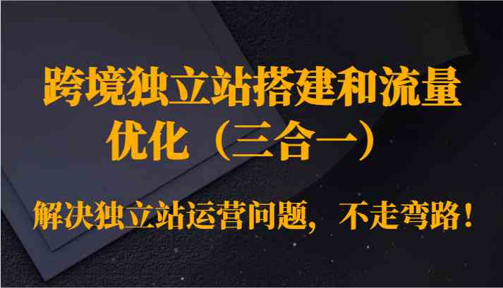 跨境独立站搭建和流量优化（三合一）解决独立站运营问题，不走弯路！-热爱者网创