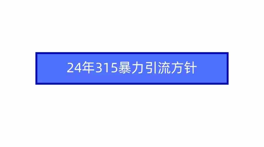 （9398期）2024年315暴力引流方针-热爱者网创