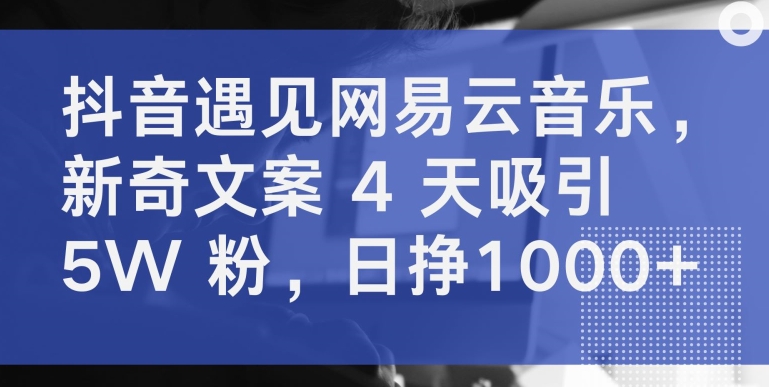 抖音遇见网易云音乐，新奇文案 4 天吸引 5W 粉，日挣1000+-热爱者网创