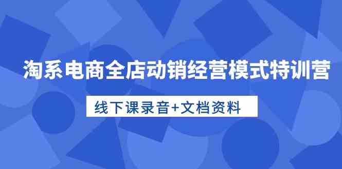 淘系电商全店动销经营模式特训营，线下课录音+文档资料-热爱者网创