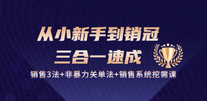 从小新手到销冠 三合一速成：销售3法+非暴力关单法+销售系统挖需课 (27节)-热爱者网创