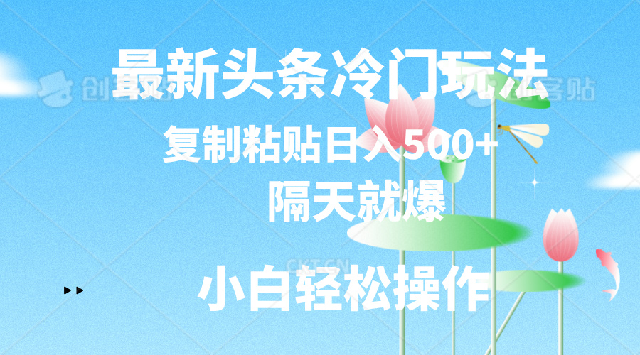 最新头条冷门玩法，隔天就爆，复制粘贴日入500+-热爱者网创