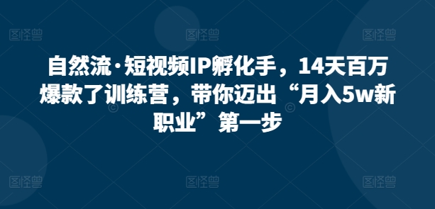 自然流·短视频IP孵化手，14天百万爆款了训练营，带你迈出“月入5w新职业”第一步-热爱者网创