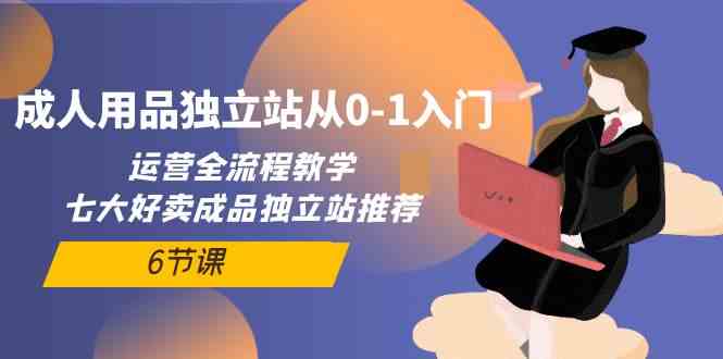 成人用品独立站从0-1入门，运营全流程教学，七大好卖成品独立站推荐（6节课）-热爱者网创