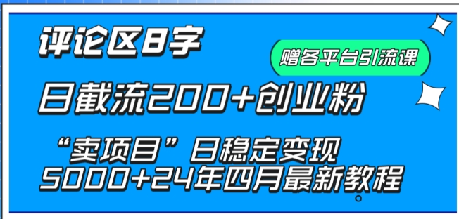 抖音评论区8字日截流200+创业粉 “卖项目”日稳定变现5000+-热爱者网创