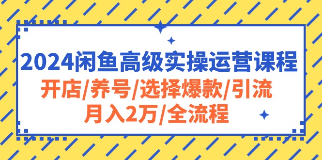 （10711期）2024闲鱼高级实操运营课程：开店/养号/选择爆款/引流/月入2万/全流程-热爱者网创