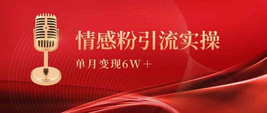 （9473期）单月变现6w+，情感粉引流变现实操课-热爱者网创