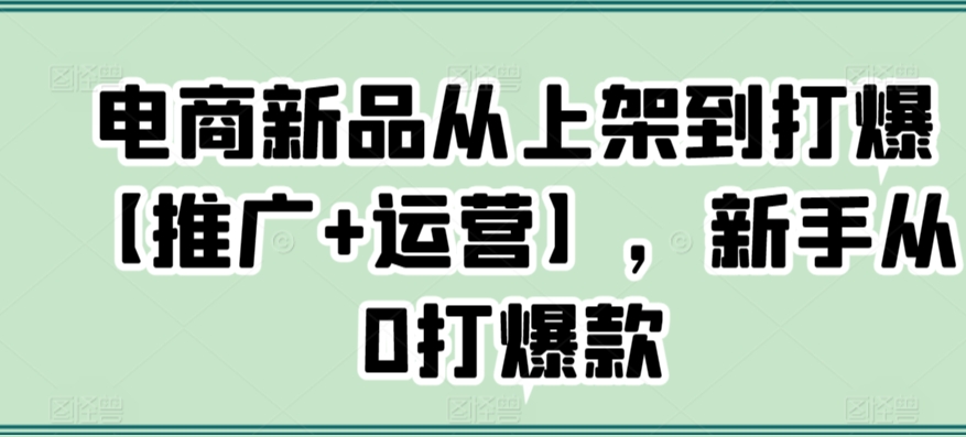 电商新品从上架到打爆【推广+运营】，新手从0打爆款-热爱者网创