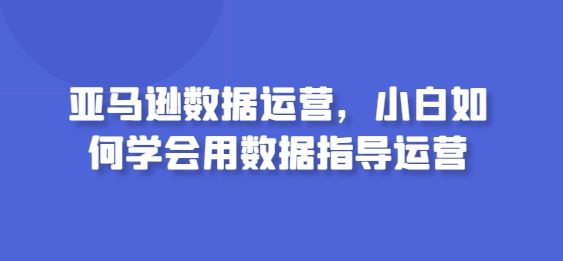 亚马逊数据运营，小白如何学会用数据指导运营-热爱者网创