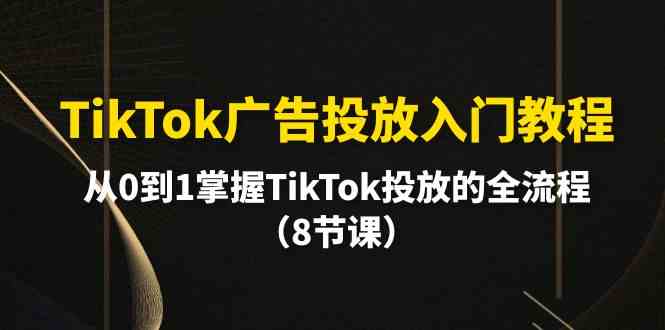 （10085期）TikTok广告投放入门教程，从0到1掌握TikTok投放的全流程（8节课）-热爱者网创