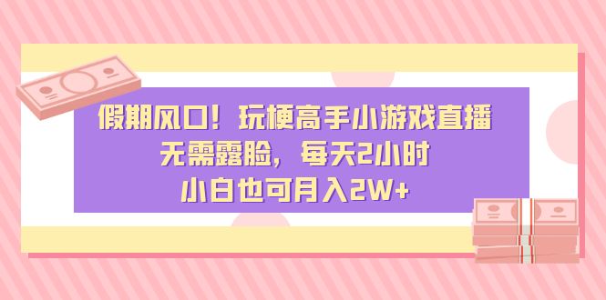 假期风口！玩梗高手小游戏直播，无需露脸，每天2小时，小白也可月入2W+-热爱者网创