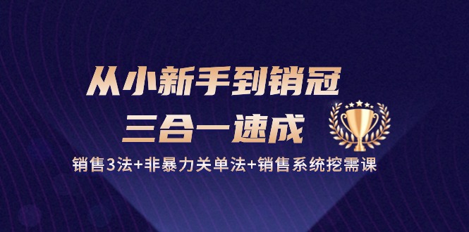 （10799期）从小新手到销冠 三合一速成：销售3法+非暴力关单法+销售系统挖需课 (27节)-热爱者网创