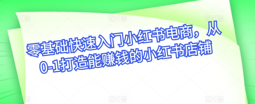 零基础快速入门小红书电商，从0-1打造能赚钱的小红书店铺-热爱者网创