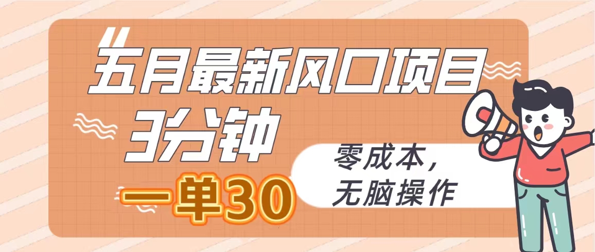 （10256期）五月最新风口项目，3分钟一单30，零成本，无脑操作-热爱者网创