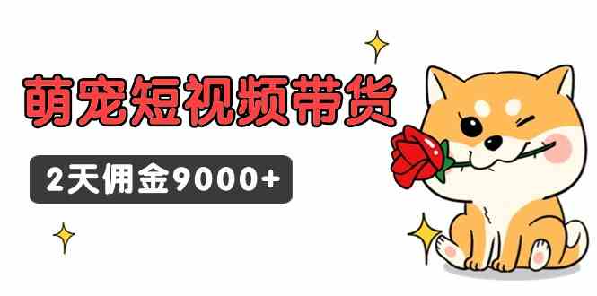 （9273期）东哲日记·萌宠短视频带货，2天佣金9000+-热爱者网创