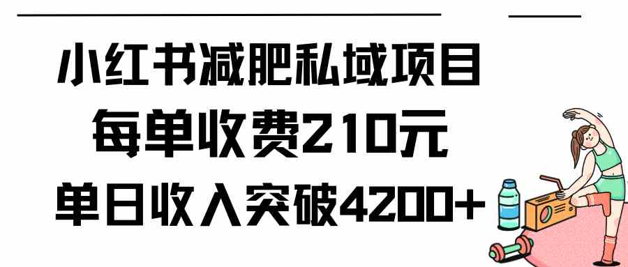 （9466期）小红书减肥私域项目每单收费210元单日成交20单，最高日入4200+-热爱者网创