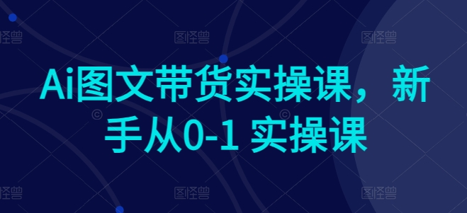 Ai图文带货实操课，新手从0-1 实操课-热爱者网创