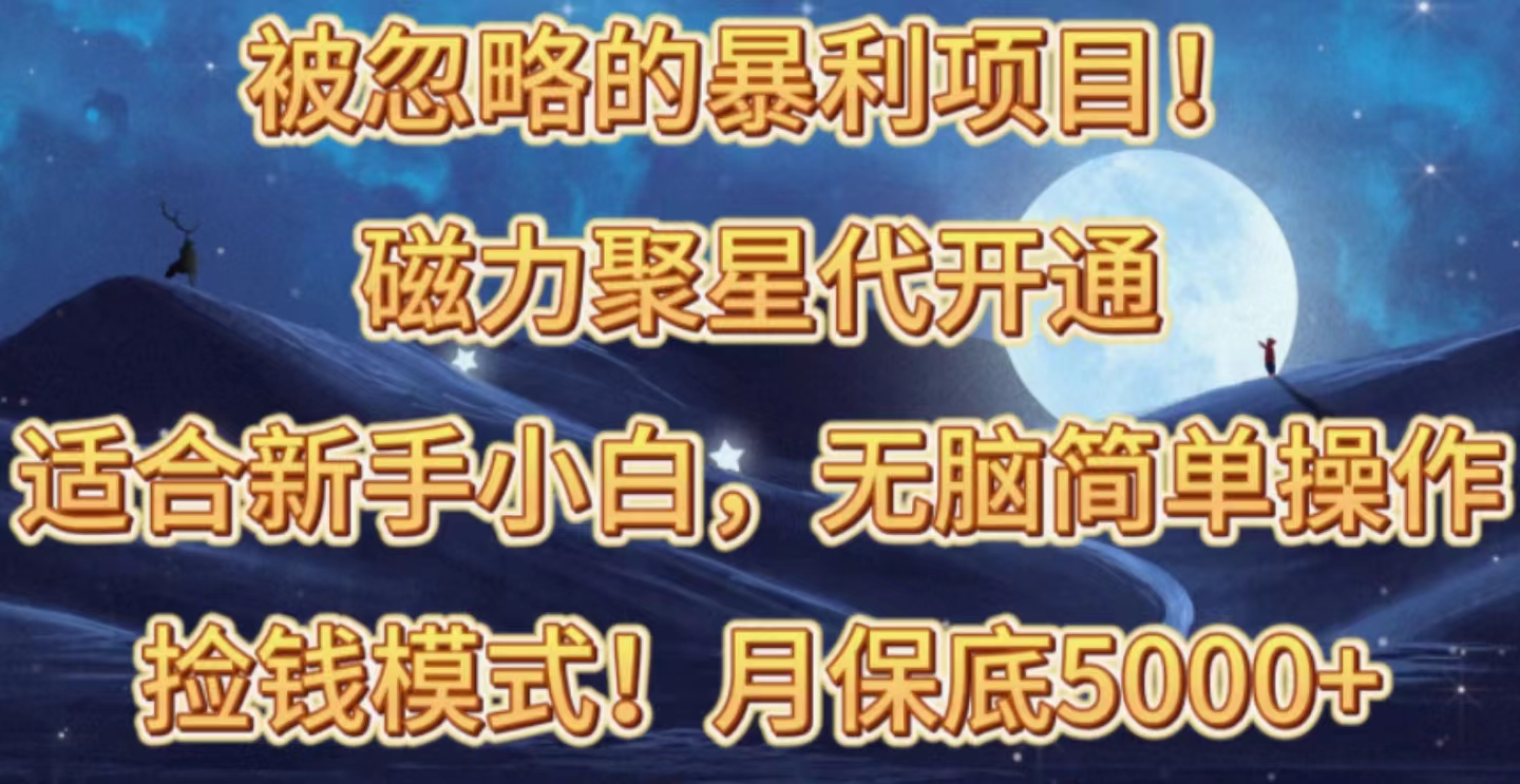 （10245期）被忽略的暴利项目！磁力聚星代开通捡钱模式，轻松月入五六千-热爱者网创