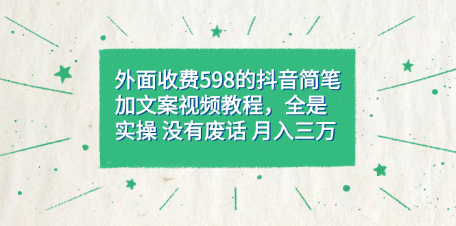 外面收费598抖音简笔加文案教程，全是实操 没有废话 月入三万（教程+资料）-热爱者网创