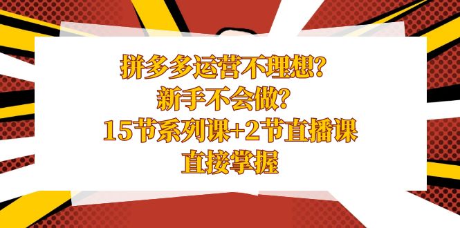 拼多多运营不理想？新手不会做？15节系列课+2节直播课，直接掌握-热爱者网创