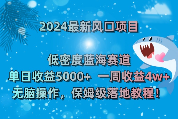 2024最新风口项目 低密度蓝海赛道，日收益5000+周收益4w+ 无脑操作-热爱者网创