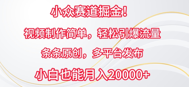 小众赛道掘金，视频制作简单，轻松引爆流量，条条原创，多平台发布-热爱者网创