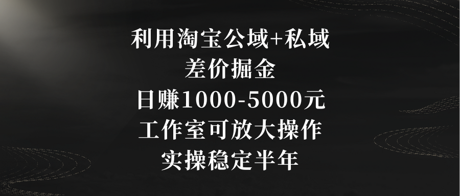 利用淘宝公域+私域差价掘金，日赚1000-5000元，工作室可放大操作，实操…-热爱者网创