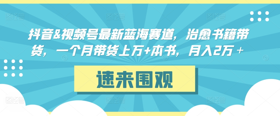 抖音&视频号最新蓝海赛道，治愈书籍带货，一个月带货上万+本书，月入2万＋-热爱者网创