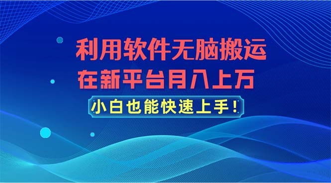 利用软件无脑搬运，在新平台月入上万，小白也能快速上手-热爱者网创