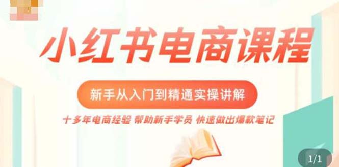 小红书电商新手入门到精通实操课，从入门到精通做爆款笔记，开店运营-热爱者网创