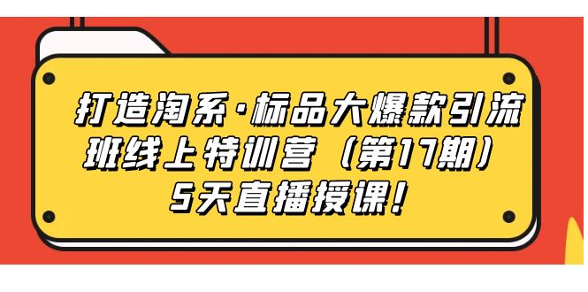 打造淘系·标品大爆款引流班线上特训营（第17期）5天直播授课！-热爱者网创