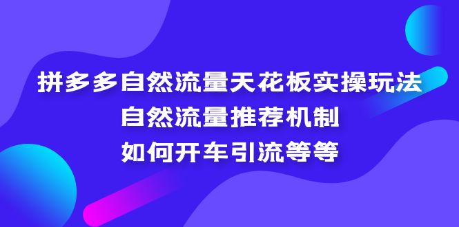 拼多多自然流量天花板实操玩法：自然流量推荐机制，如何开车引流等等-热爱者网创