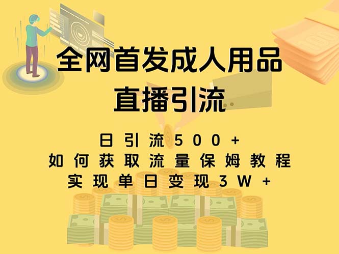 最新全网独创首发，成人用品直播引流获客暴力玩法，单日变现3w保姆级教程-热爱者网创