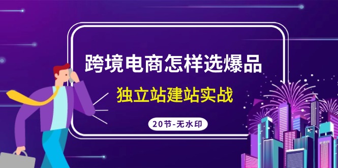 跨境电商怎样选爆品，独立站建站实战（20节高清课）-热爱者网创