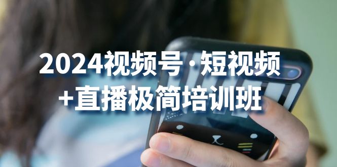 2024视频号短视频+直播极简培训班：抓住视频号风口，流量红利-热爱者网创