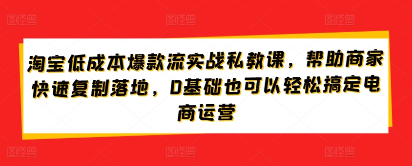 淘宝低成本爆款流实战私教课，帮助商家快速复制落地，0基础也可以轻松搞定电商运营-热爱者网创