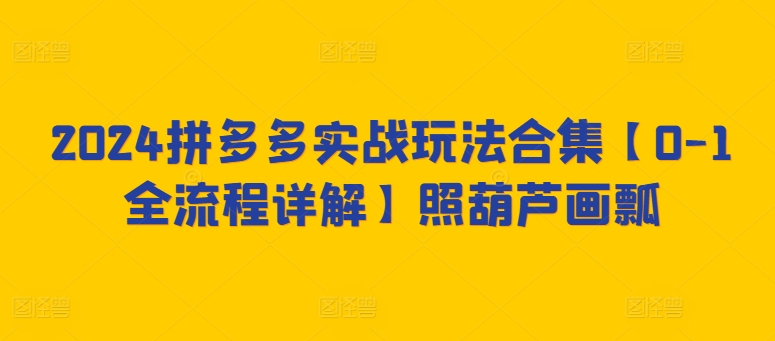 2024拼多多实战玩法合集【0-1全流程详解】照葫芦画瓢-热爱者网创