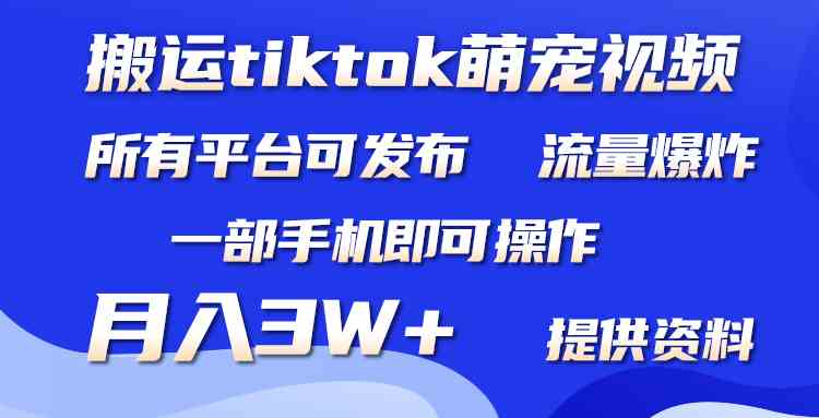 （9618期）搬运Tiktok萌宠类视频，一部手机即可。所有短视频平台均可操作，月入3W+-热爱者网创